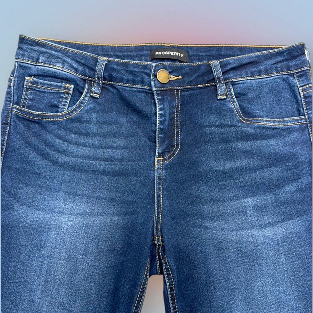 Prosperity Women's Blue Skinny Jeans